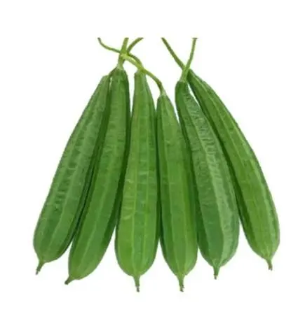 ঝিঙা