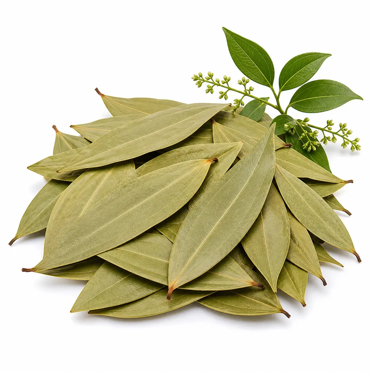 তেজপাতা