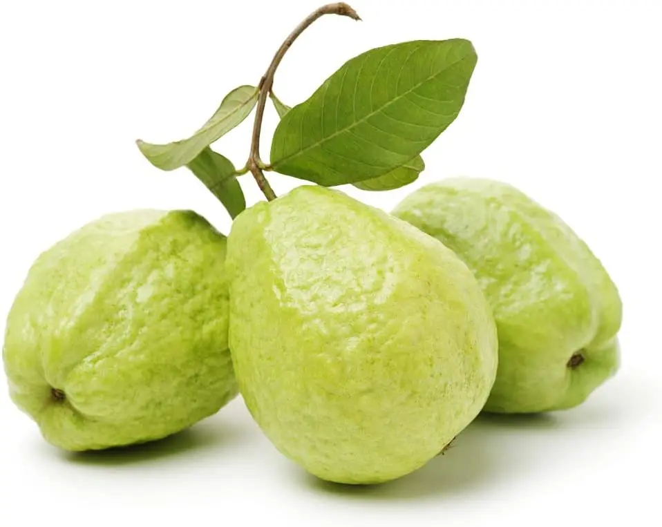 পেয়ারা