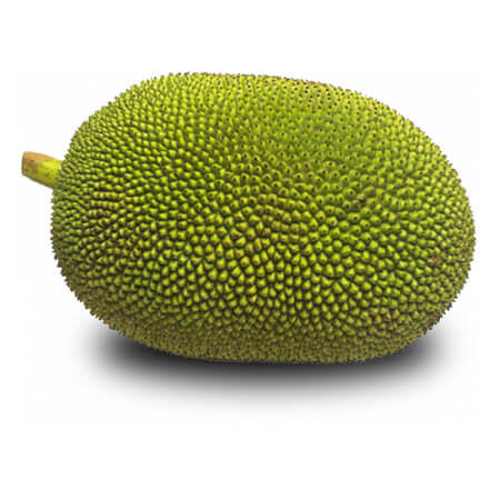 কাঁঠাল