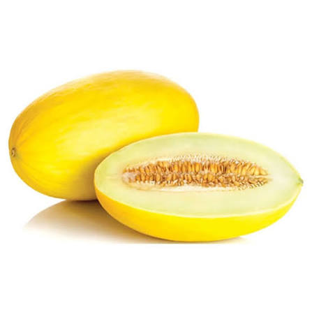 বাঙ্গি