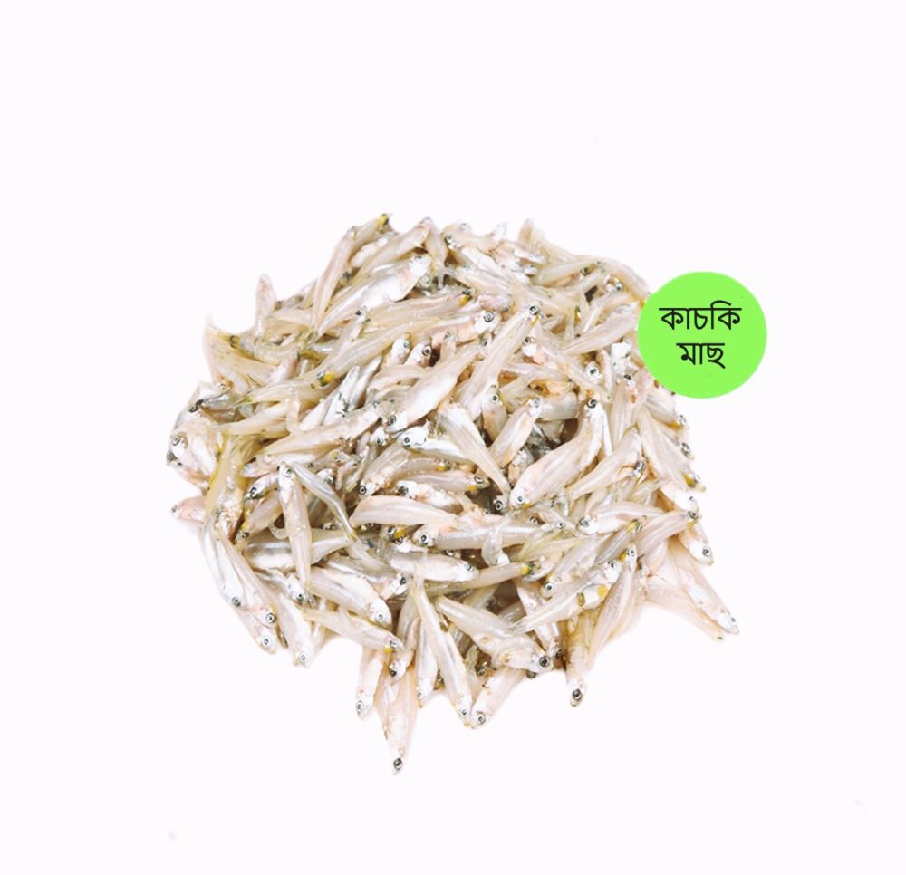 কাচকি