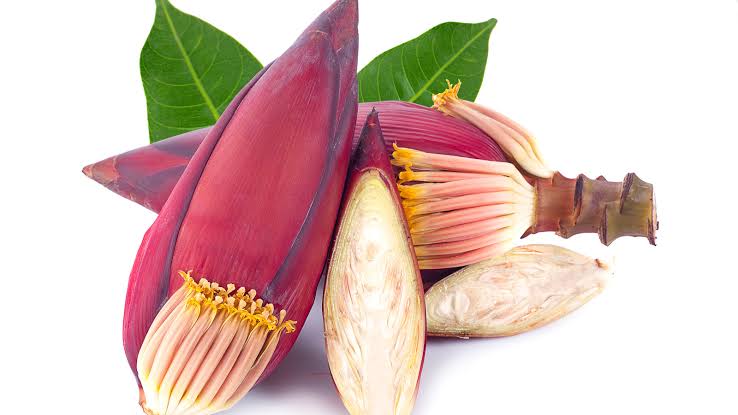 মোচা