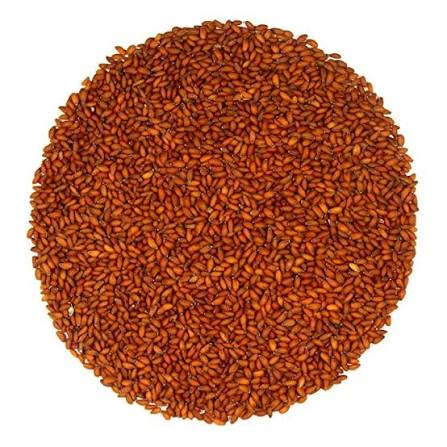 হালিম দানা
