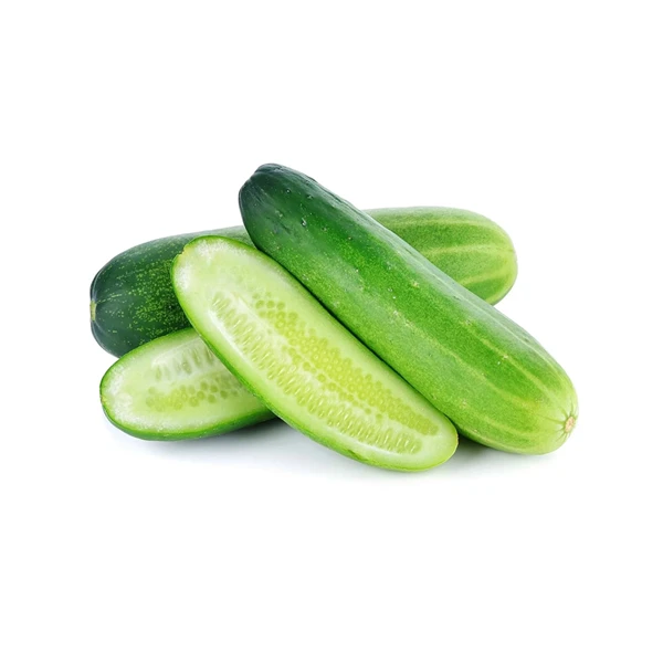 শসা (হাইব্রিড)