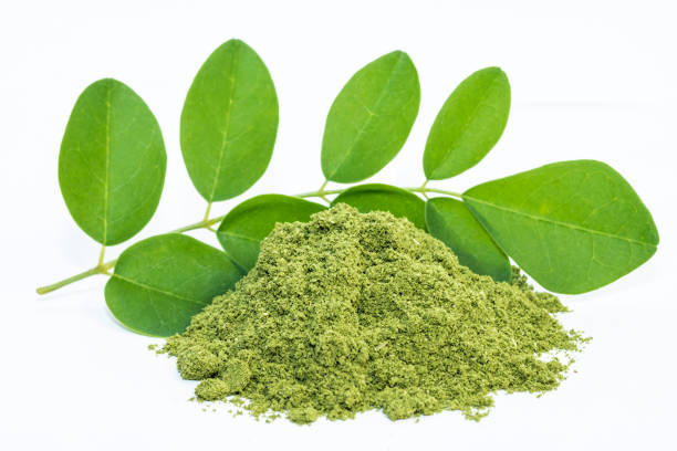 মরিঙ্গা পাউডার