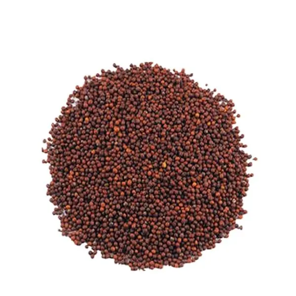 সরিষা