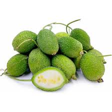 জালি কুমড়া