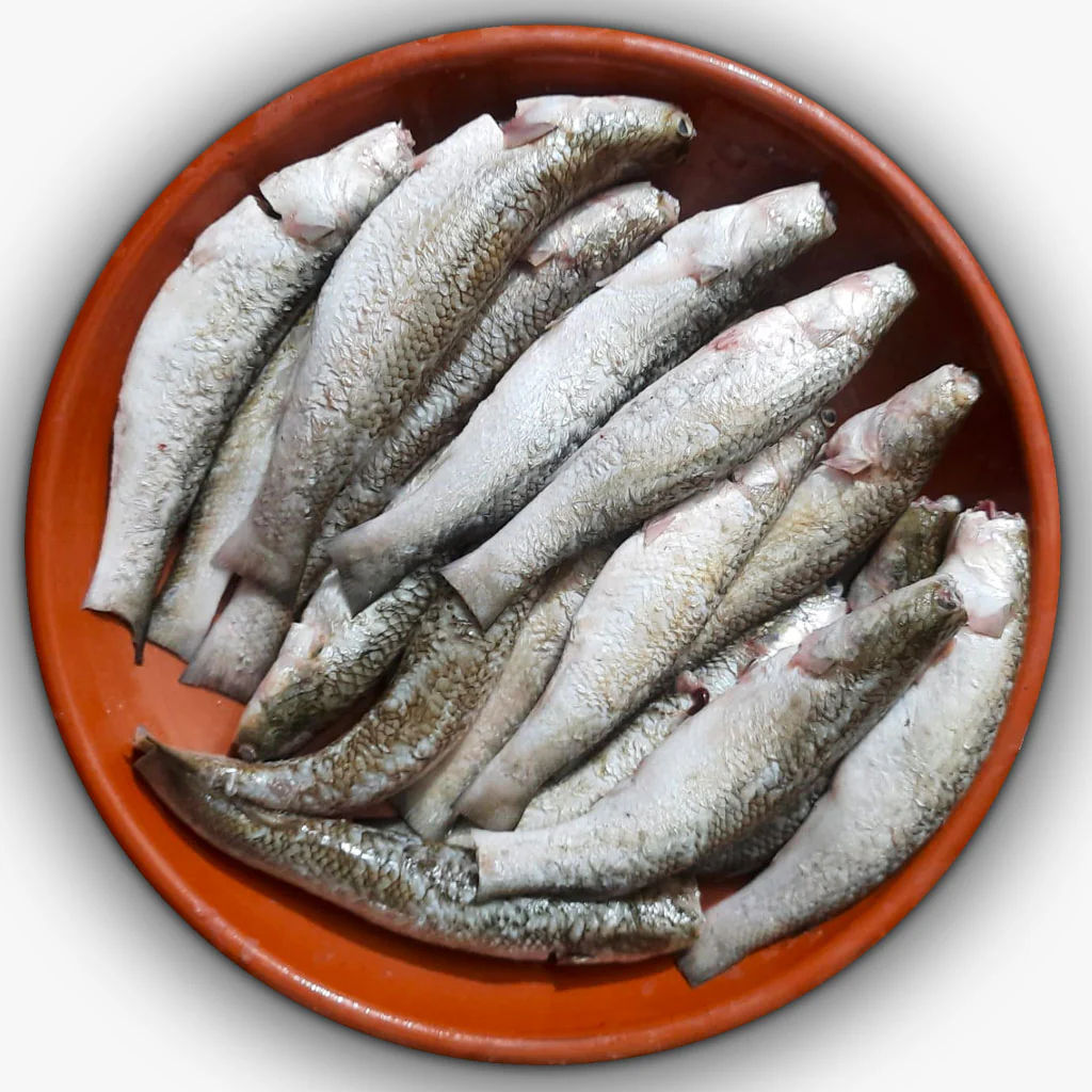 বাটা