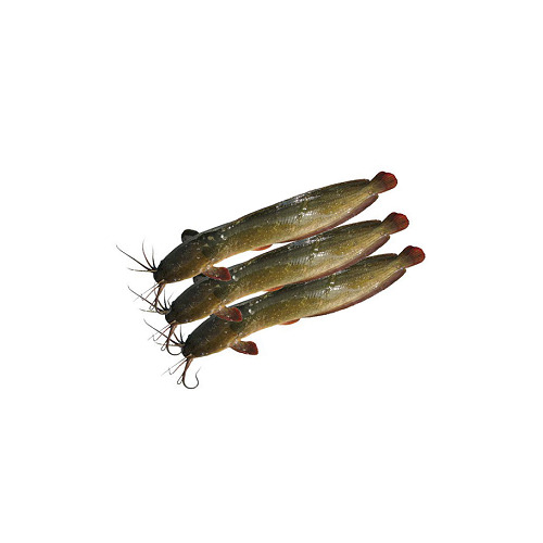 শিং